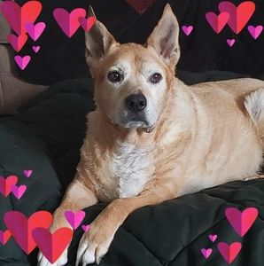 Meet your Posher, Jimmy